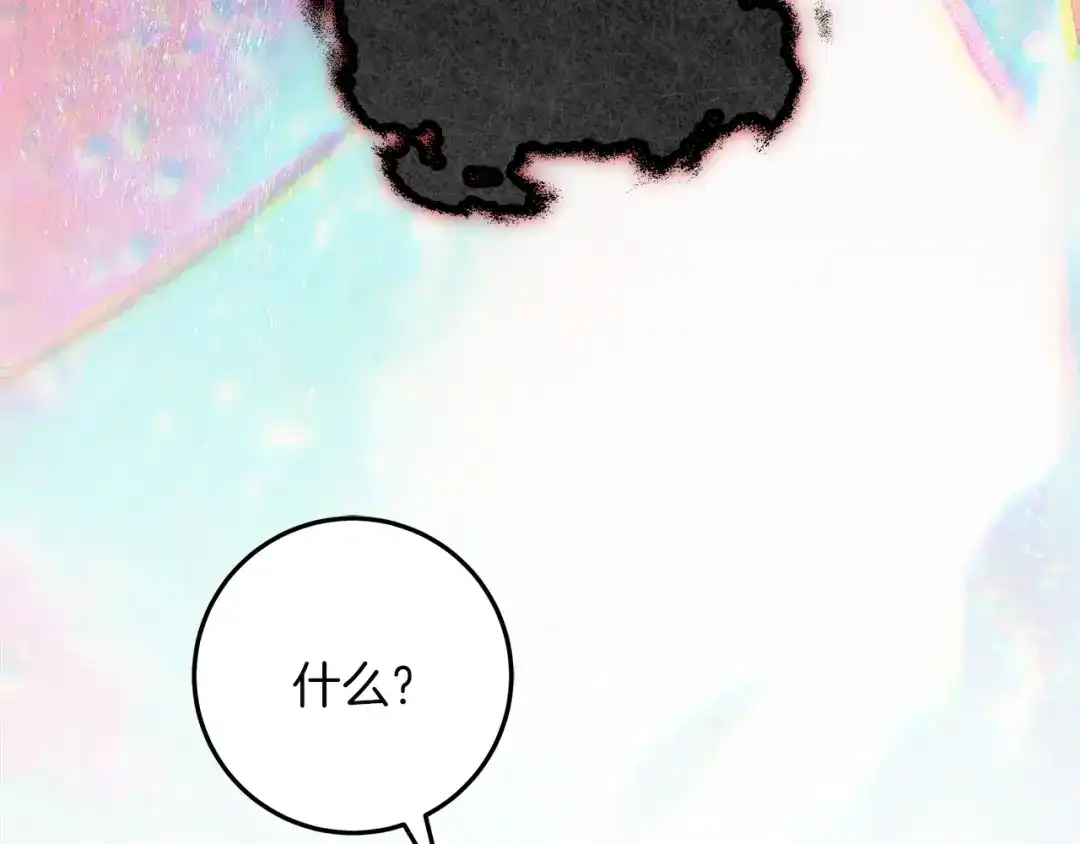 第215页