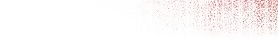 第253页