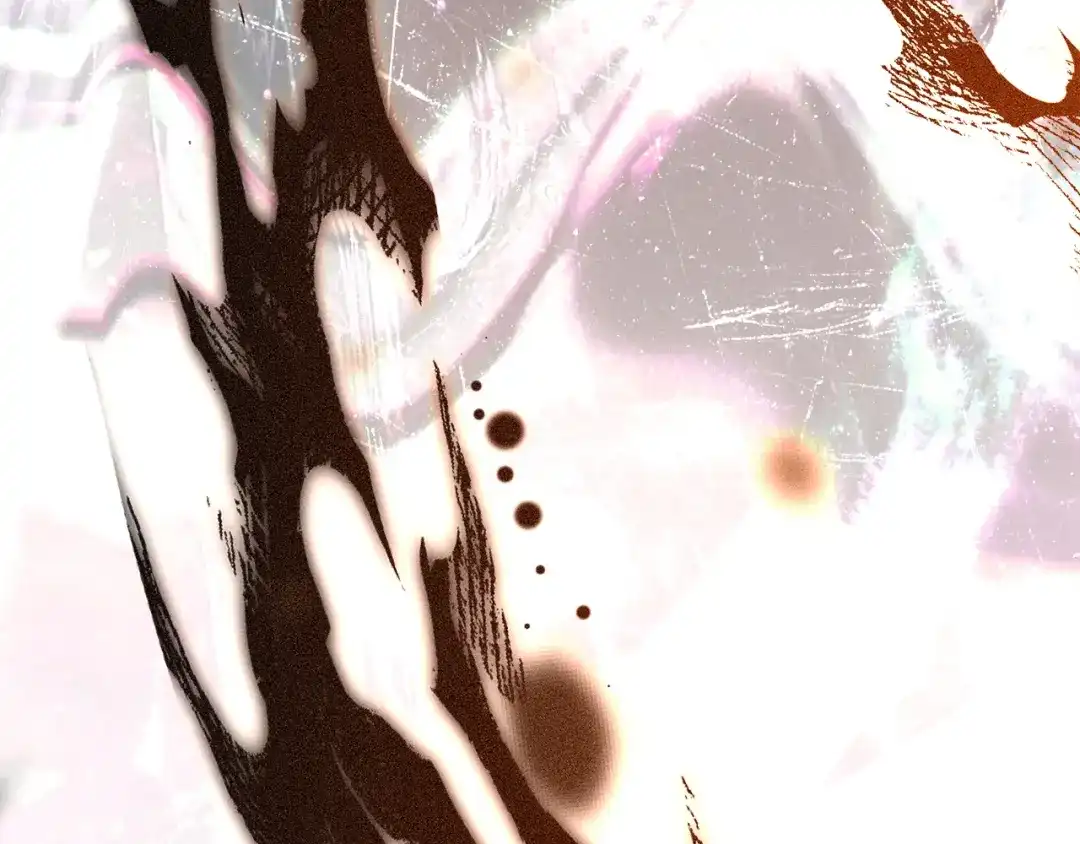 第260页