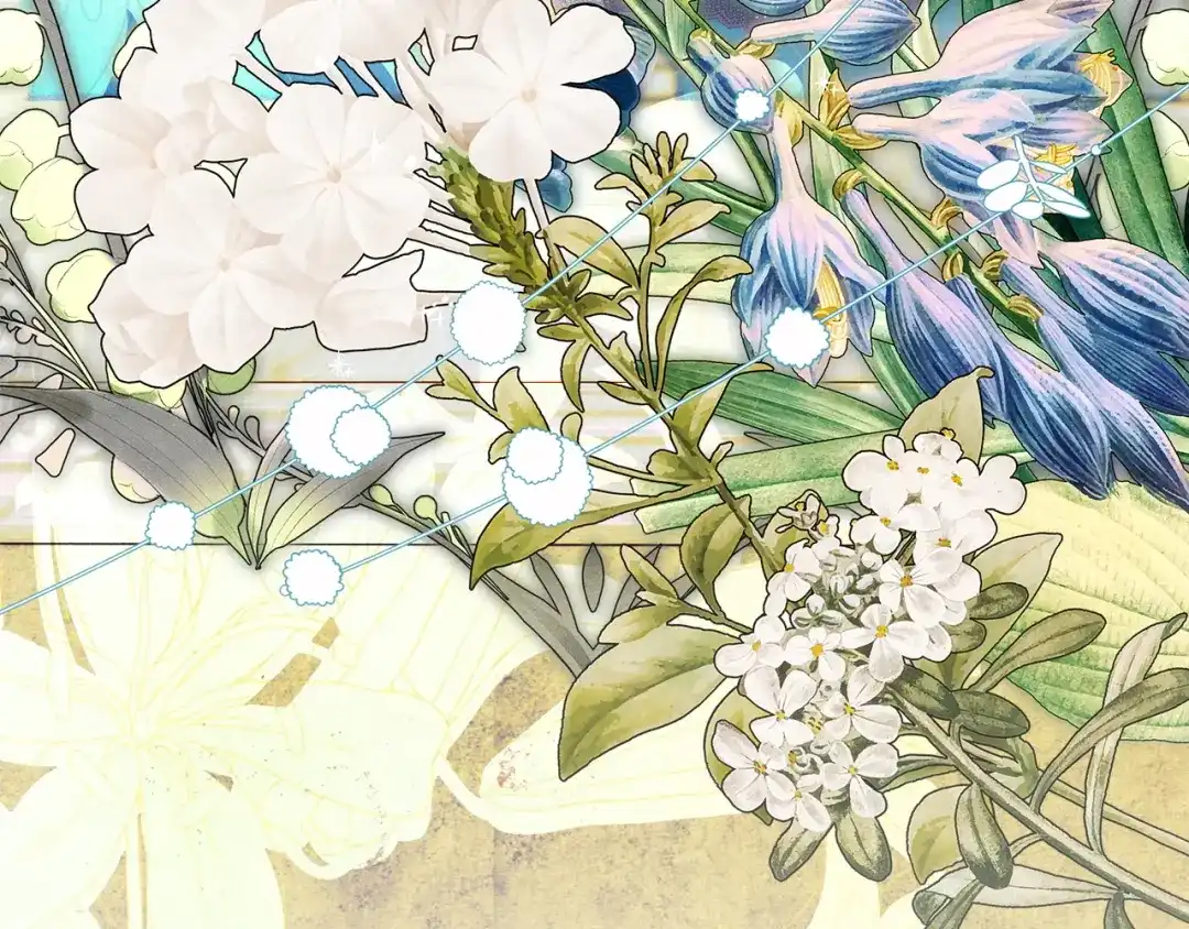 第206页