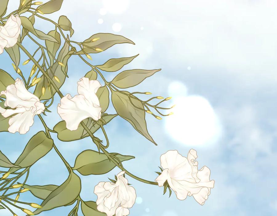 第143页