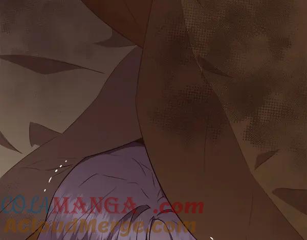 第229页