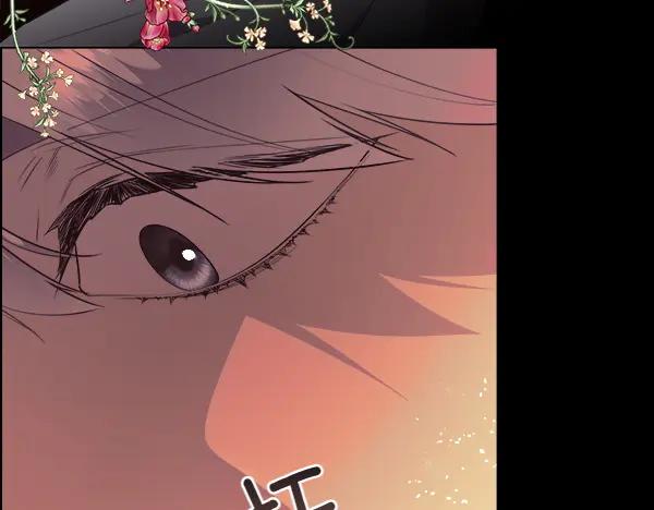 第215页