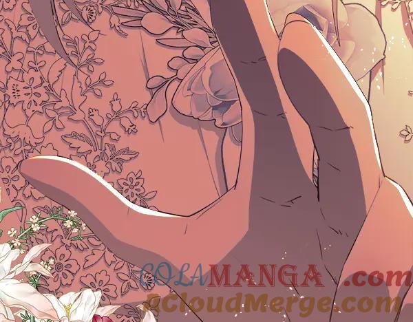 第221页