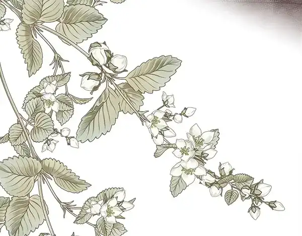 第192页