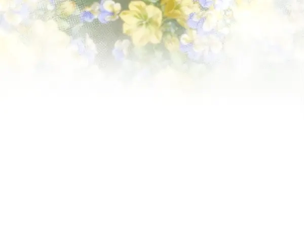 第198页