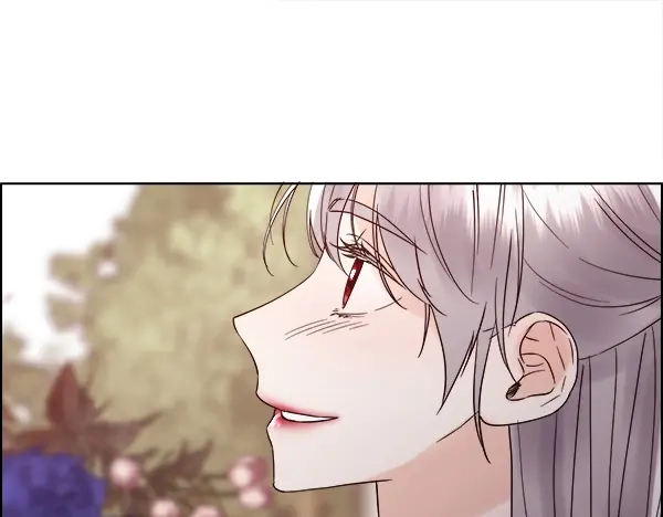 第247页