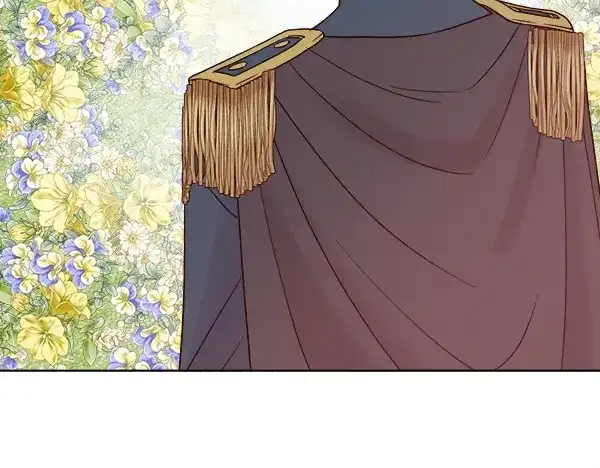 第255页