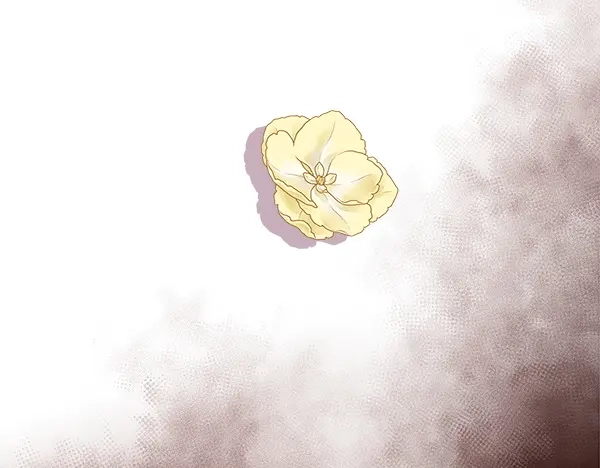 第272页