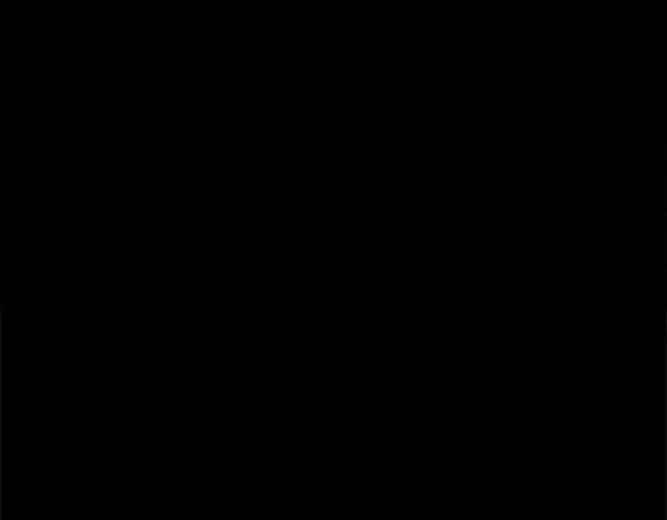 第394页