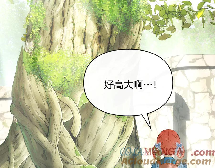 第221页
