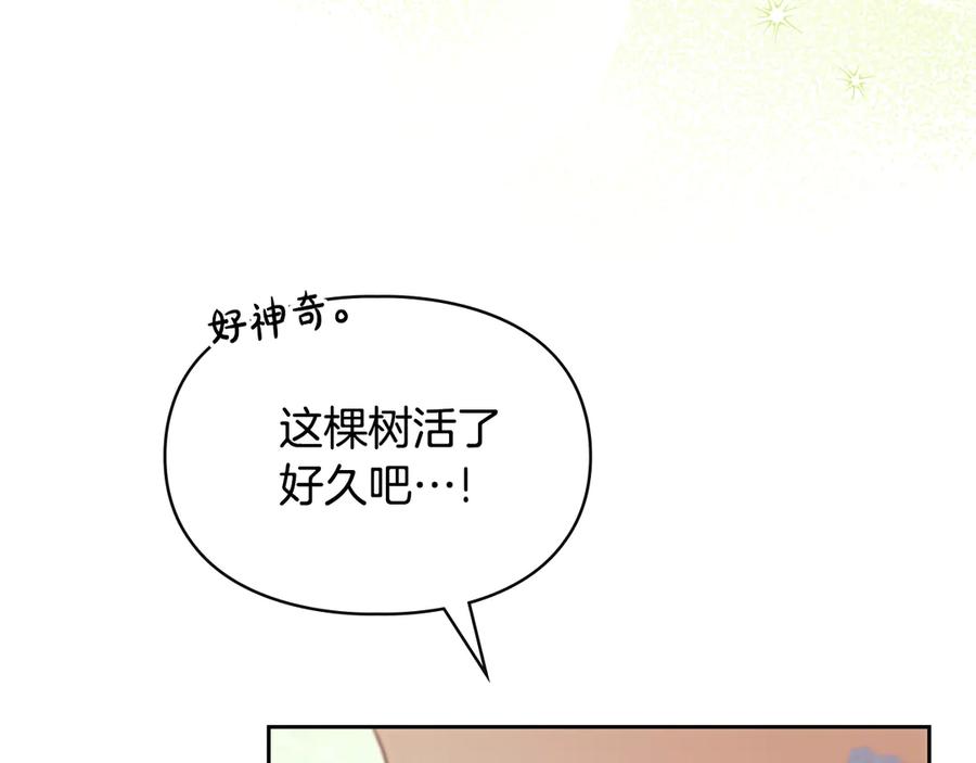 第224页