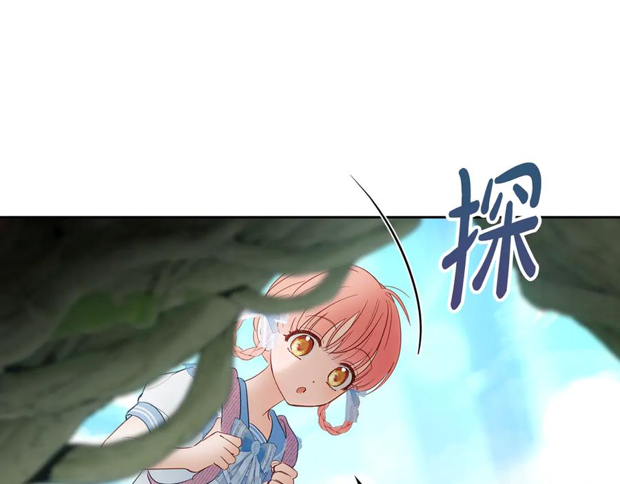 第234页