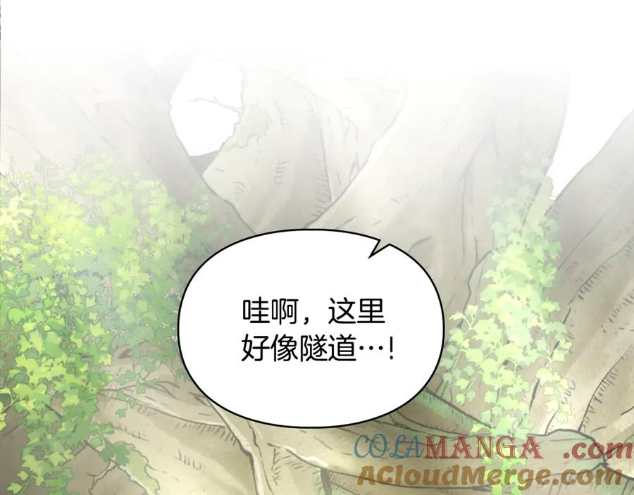 第237页