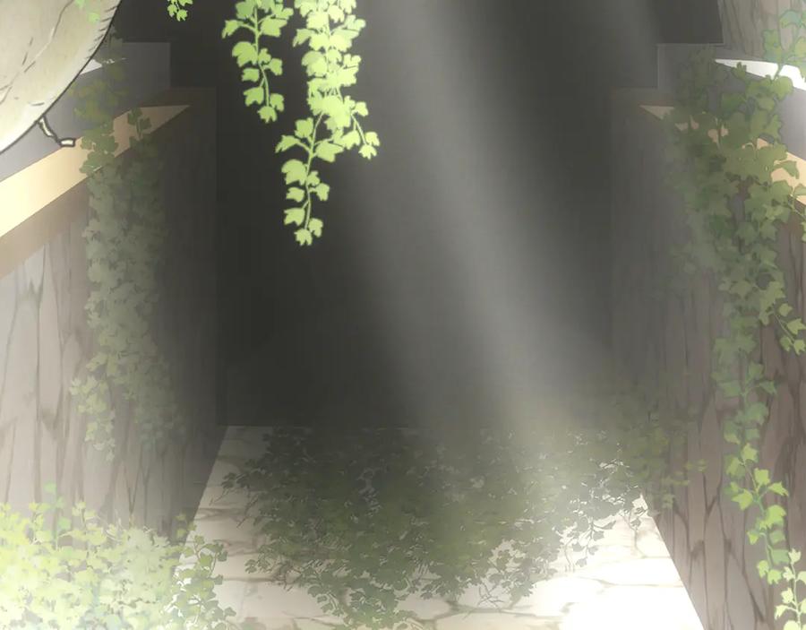 第239页