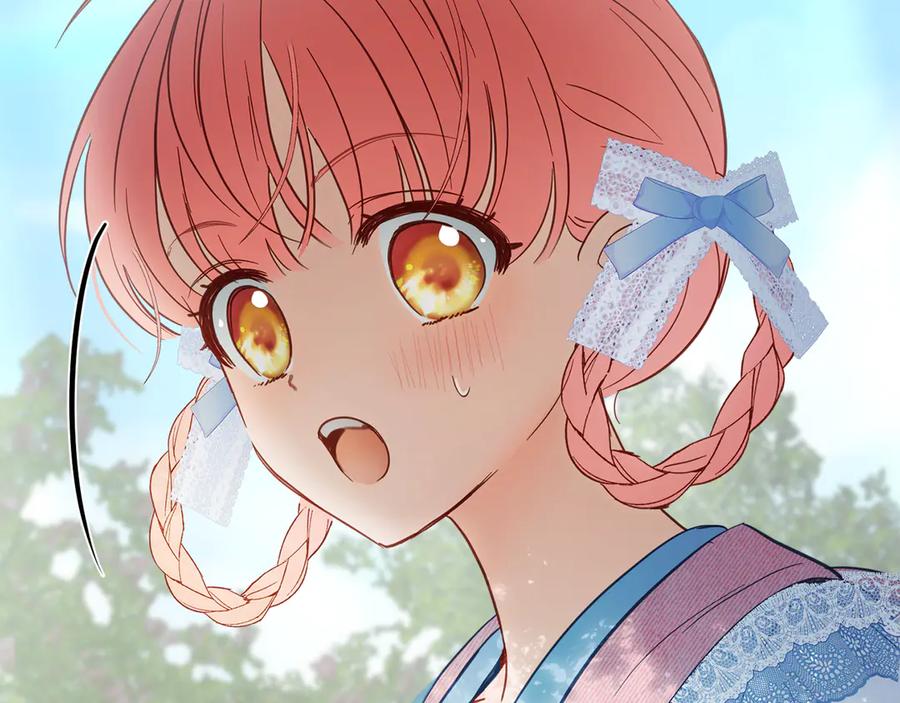 第242页