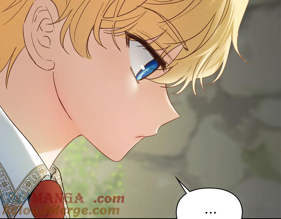 第217页