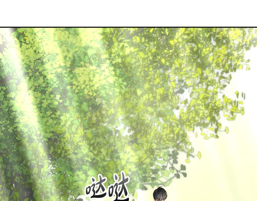 第204页