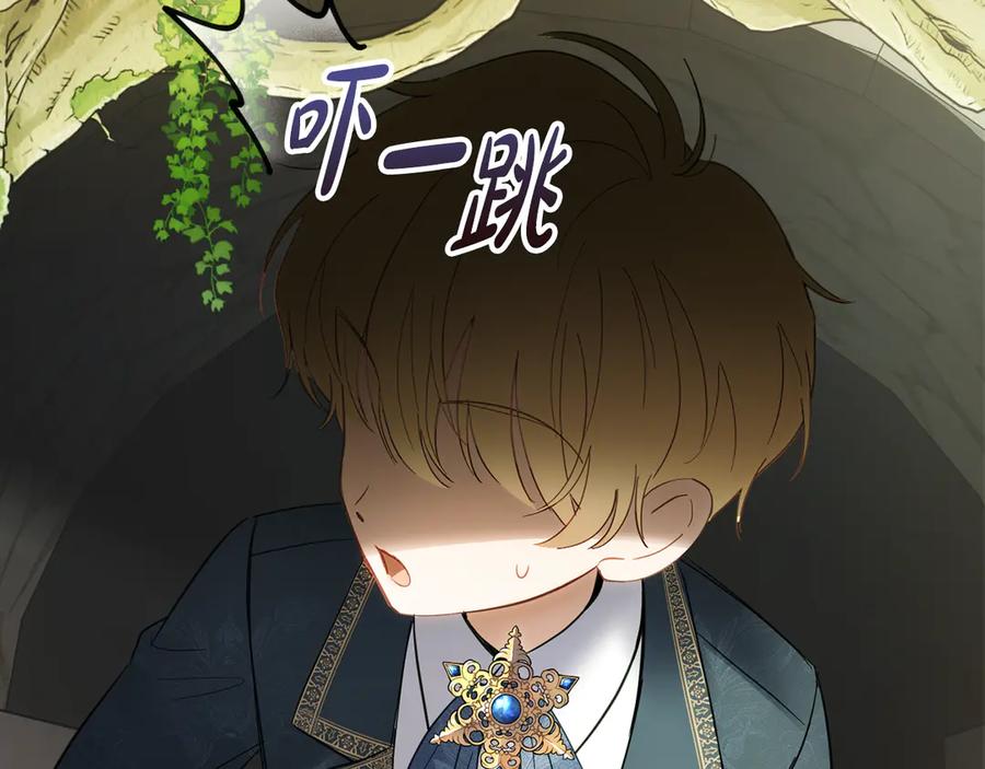 第215页