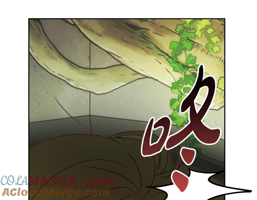 第217页