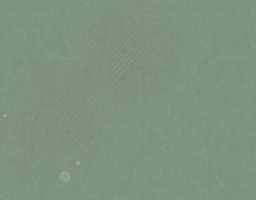 第191页