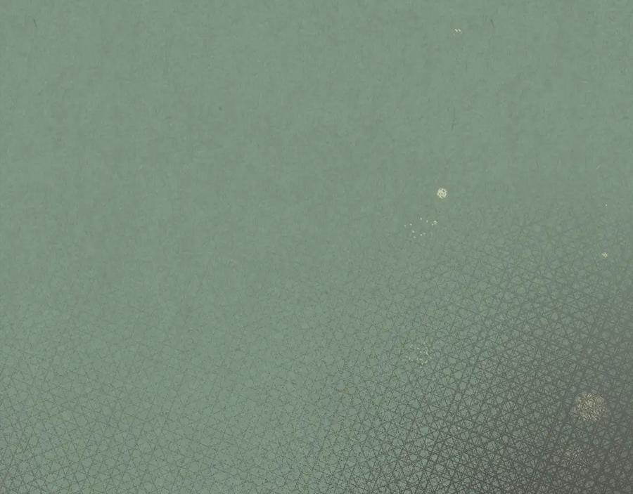 第196页