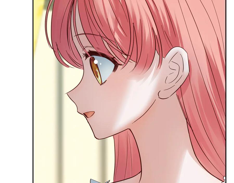 第223页