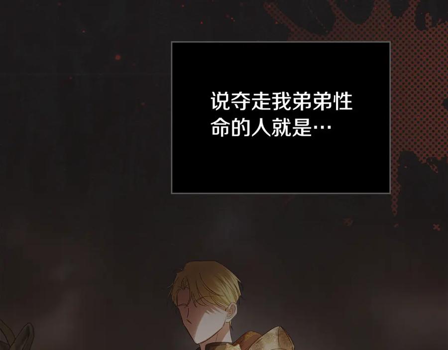 第223页