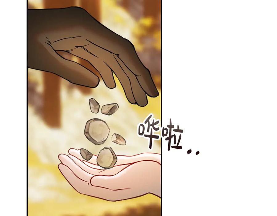 第219页