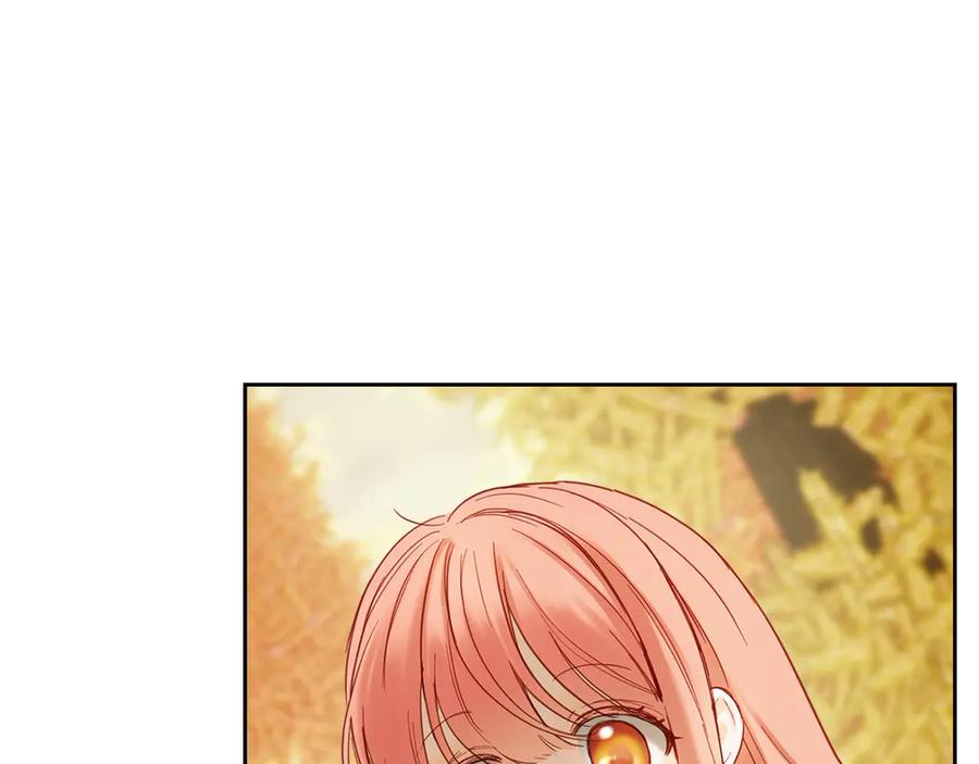 第223页