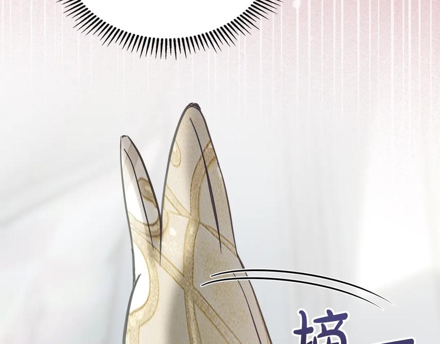 第250页
