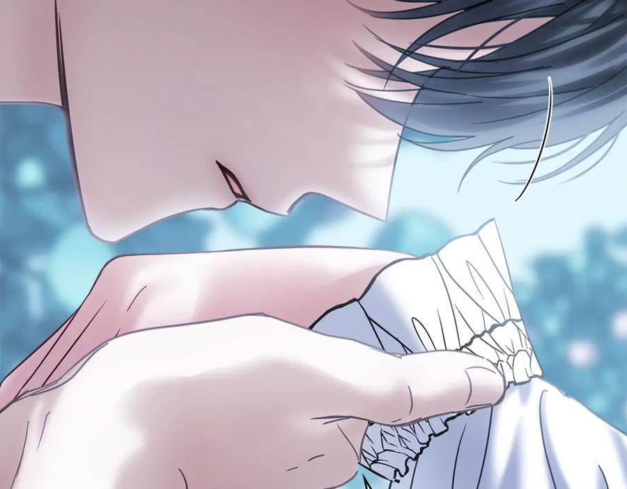 第223页