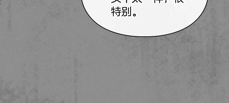 第238页