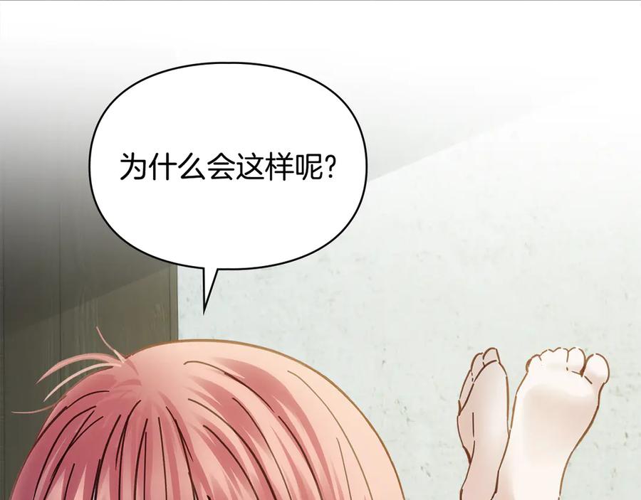 第239页