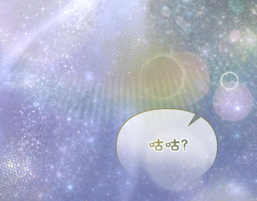 第223页