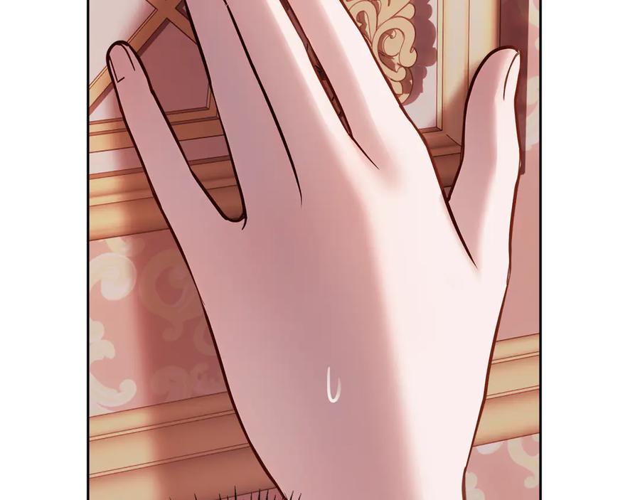 第236页