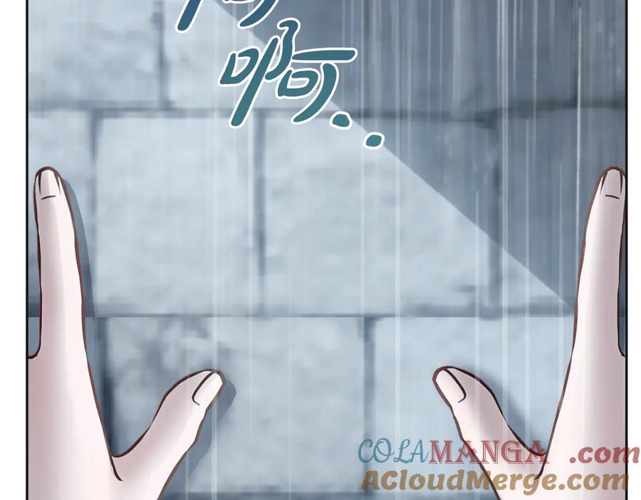 第221页