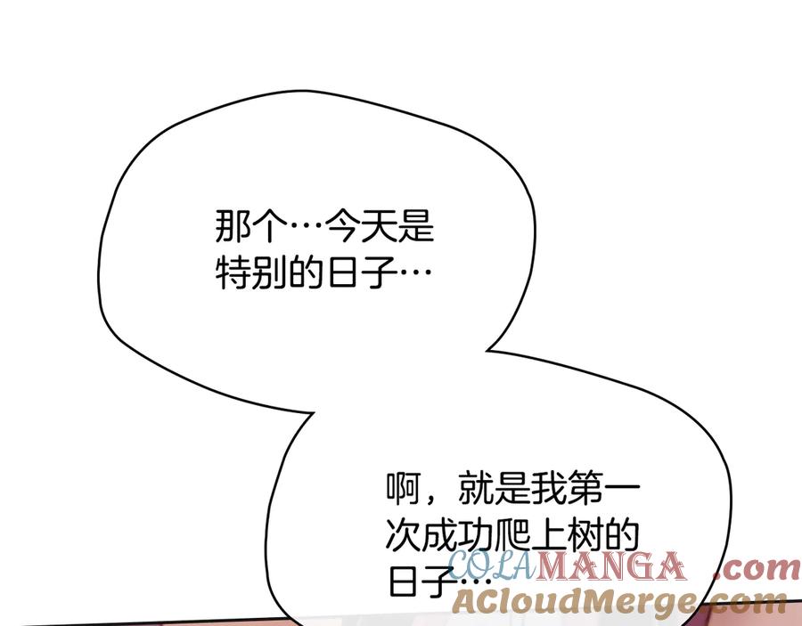 第241页