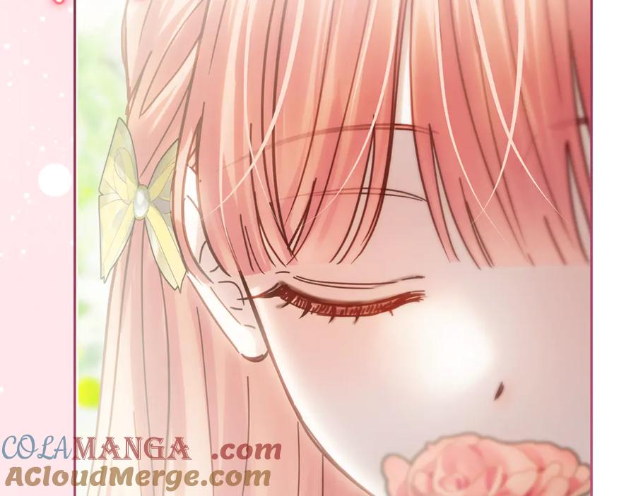 第221页