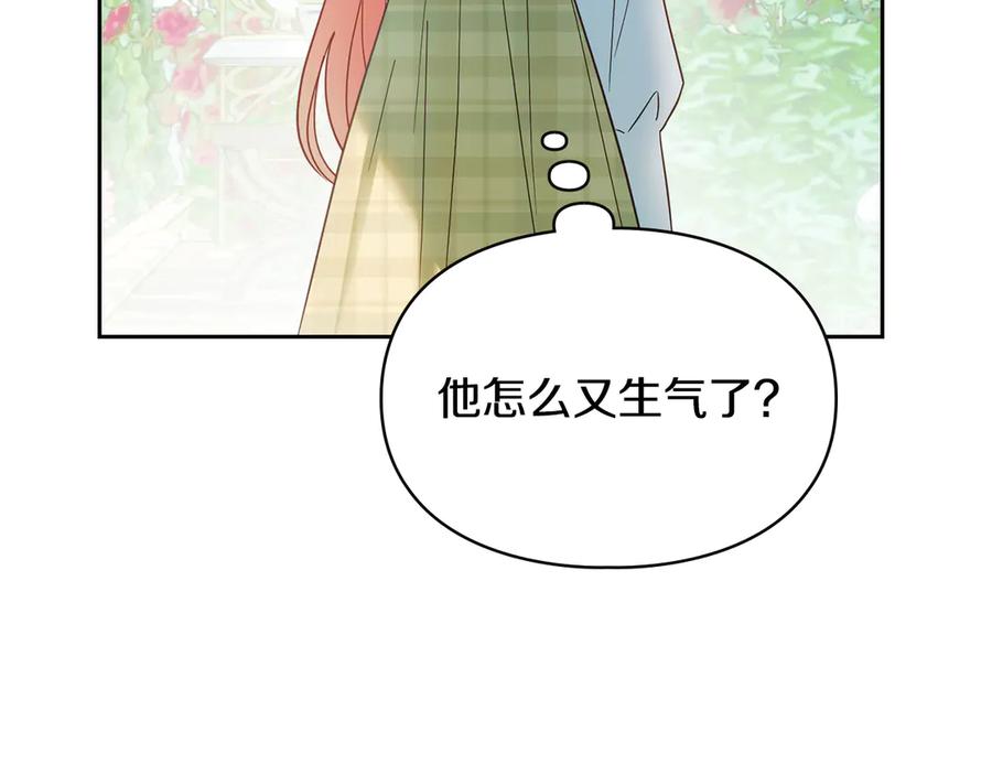 第242页