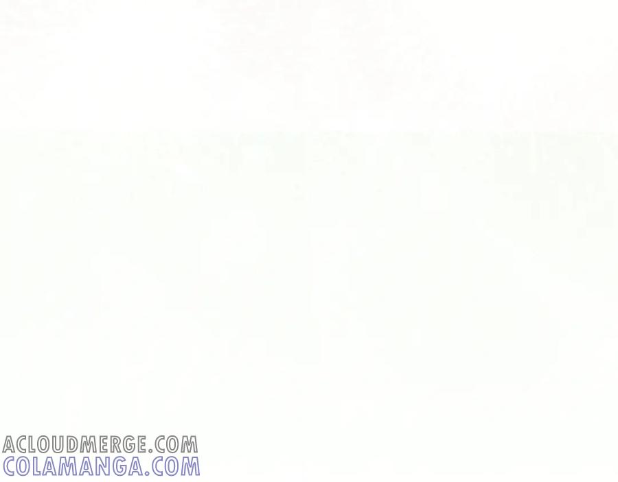 第233页