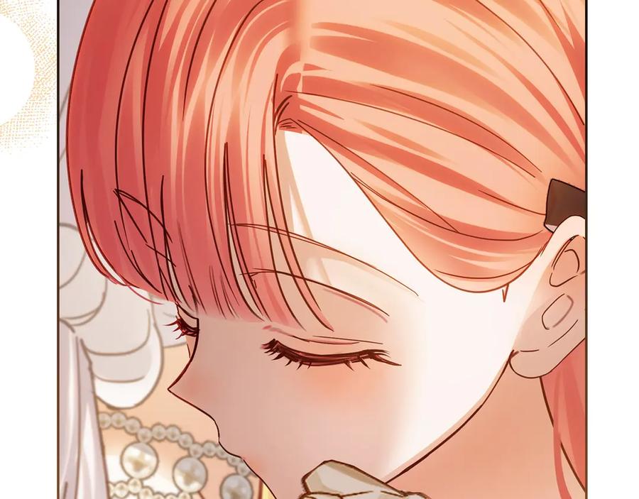 第223页