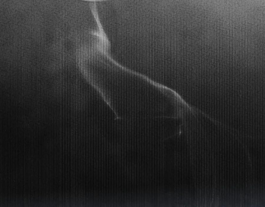 第204页