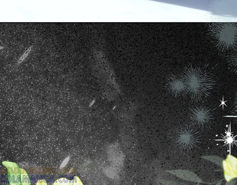 第217页