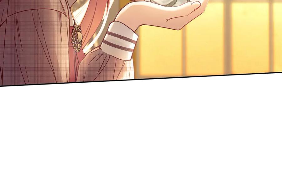 第243页