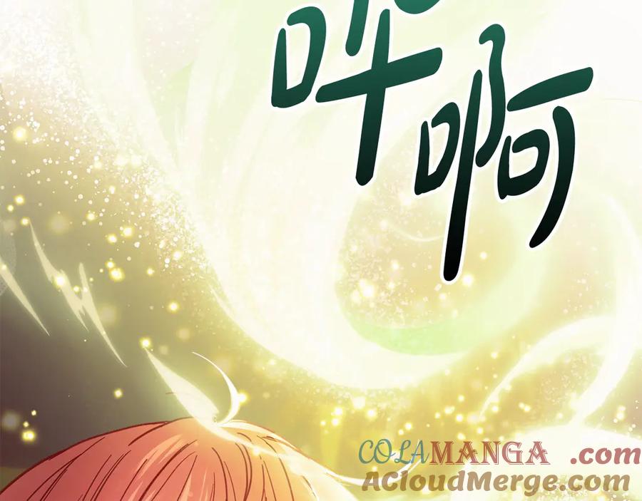 第245页