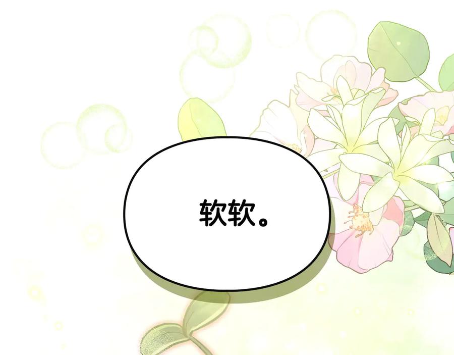 第250页