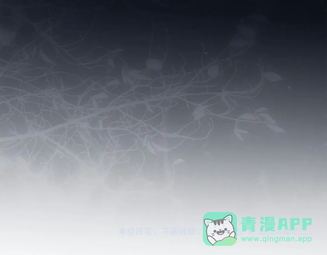 第211页