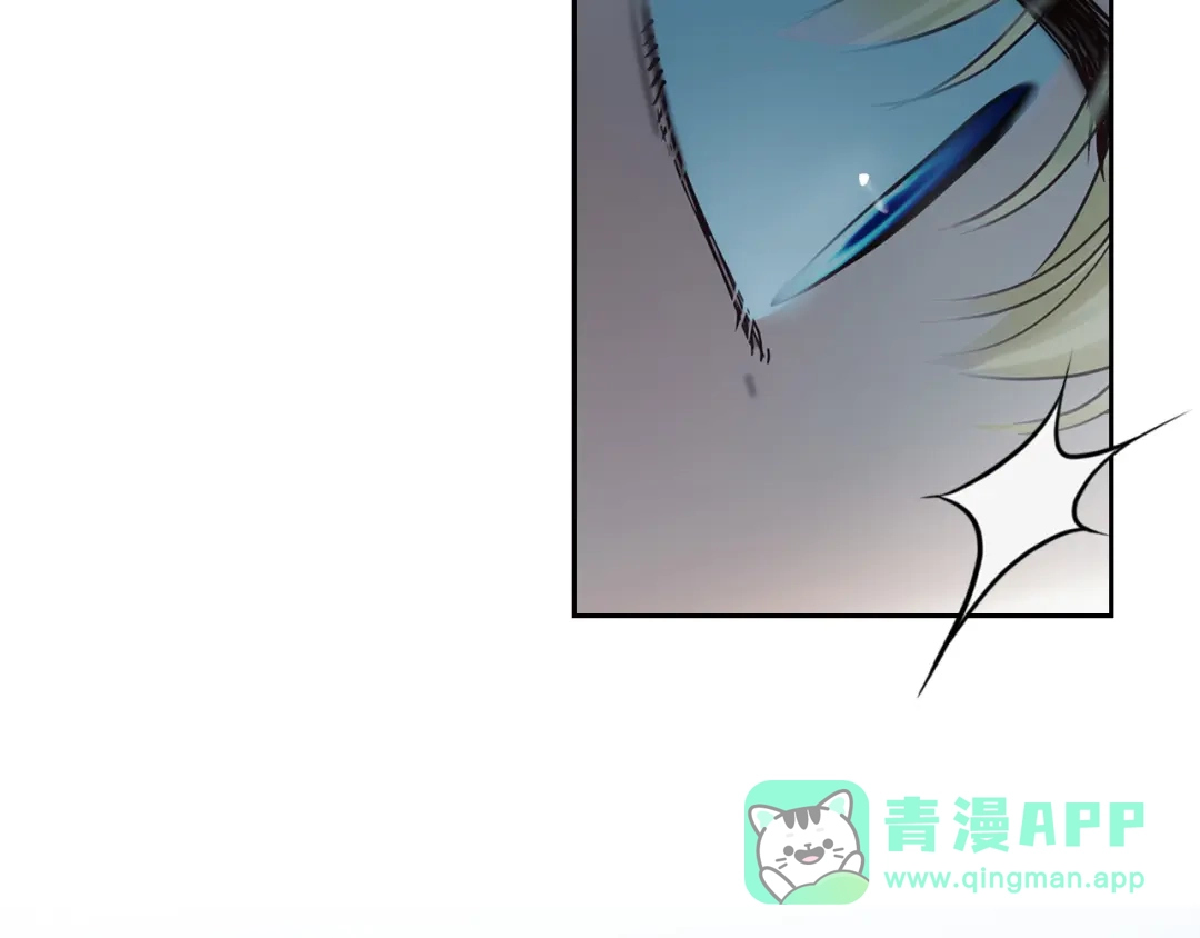 第221页