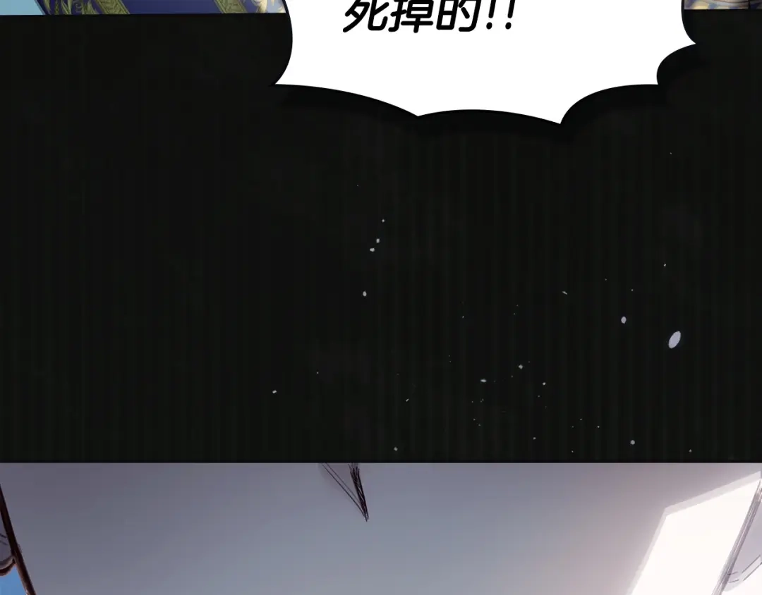 第216页